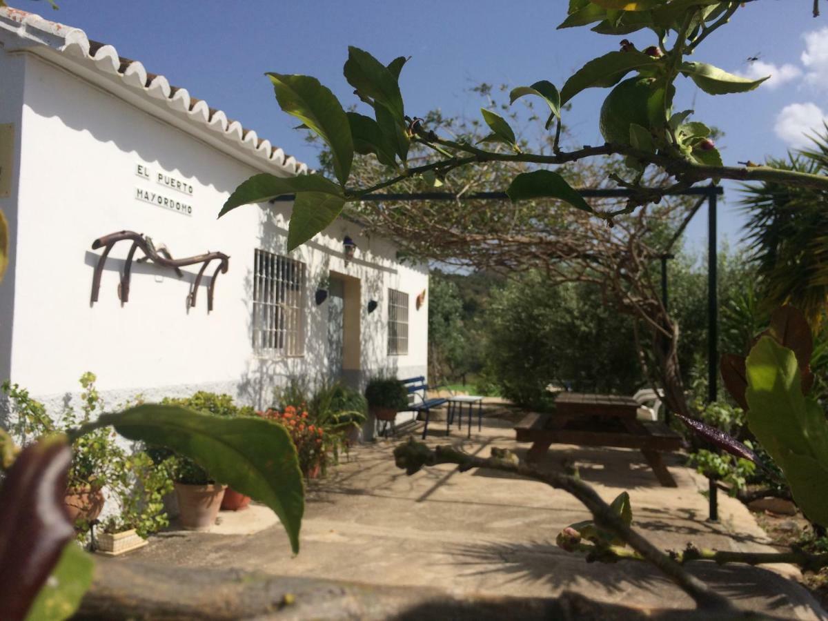 Rural El Puerto Mayordomo Ardales Eksteriør billede